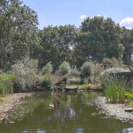 Reijgershof - Yurt Experience With Garden View *