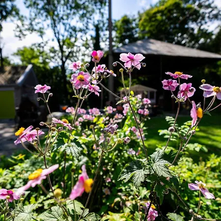 Reijgershof - Yurt Experience With Garden View