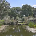 Reijgershof - Yurt Experience With Garden View *