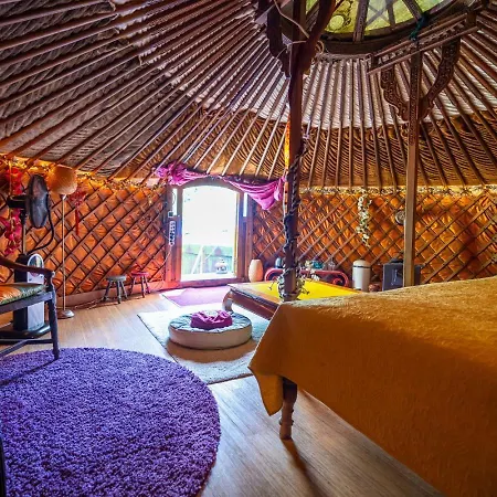 Reijgershof - Yurt Experience With Garden View Amsterdam