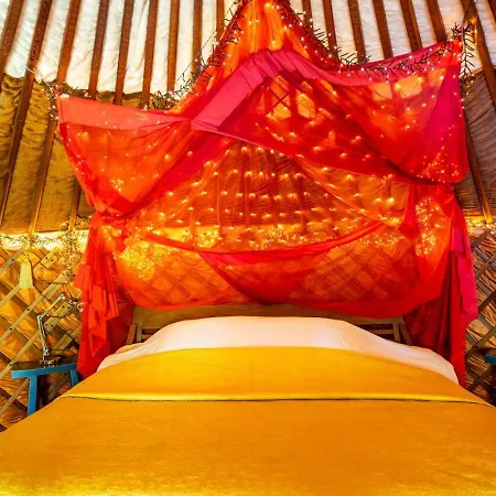 Reijgershof - Yurt Experience With Garden View Гостевой дом Амстердам