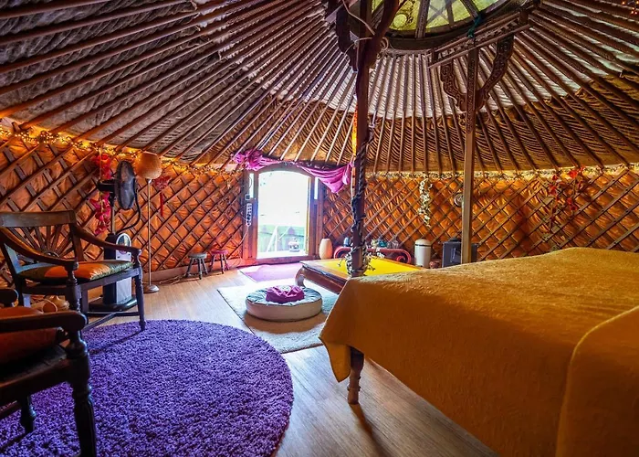 Reijgershof - Yurt Experience With Garden View Амстердам