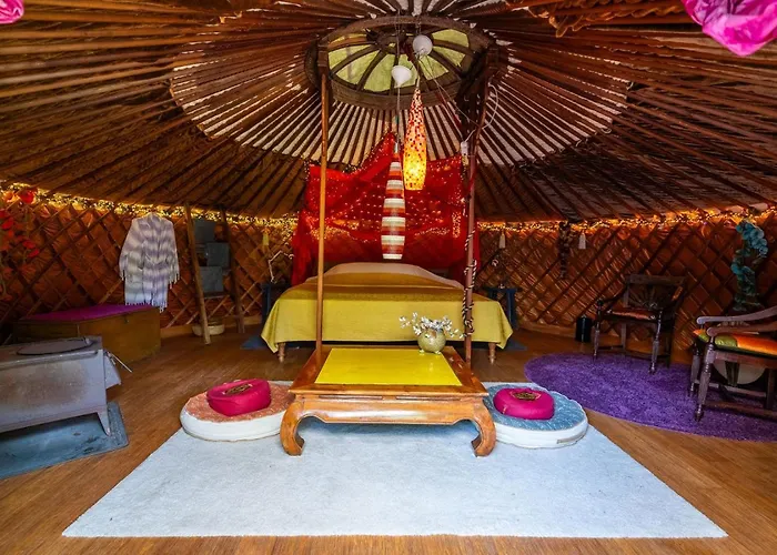 Гостевой дом Reijgershof - Yurt Experience With Garden View *