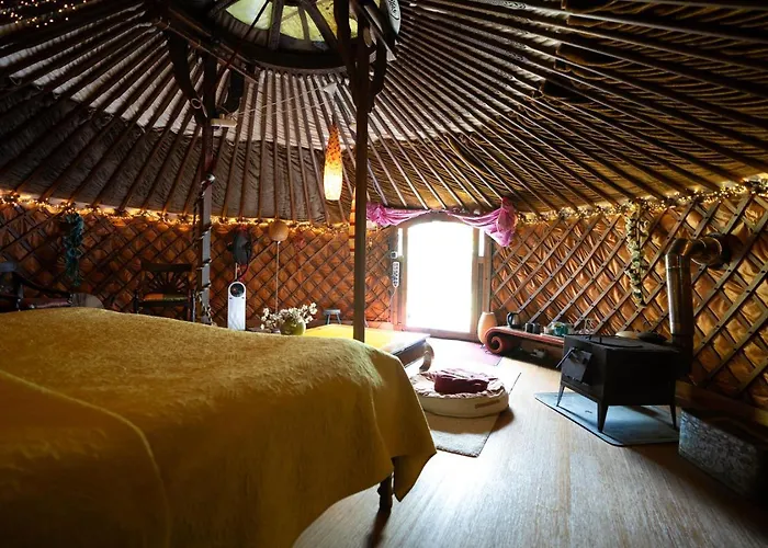 Reijgershof - Yurt Experience With Garden View Гостевой дом *