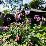 Reijgershof - Yurt Experience With Garden View