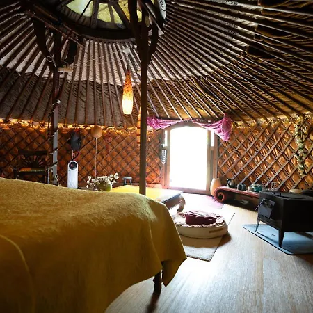 Reijgershof - Yurt Experience With Garden View Pensión *