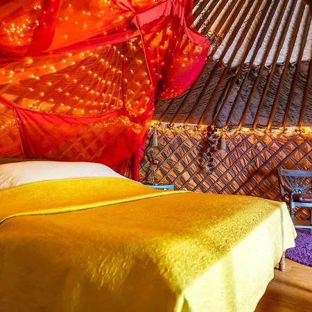 Reijgershof - Yurt Experience With Garden View * Ámsterdam