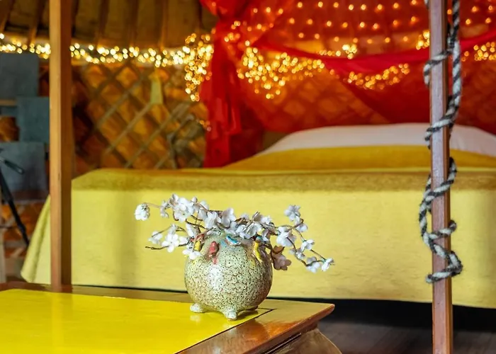 Guest house Reijgershof - Yurt Experience With Garden View *