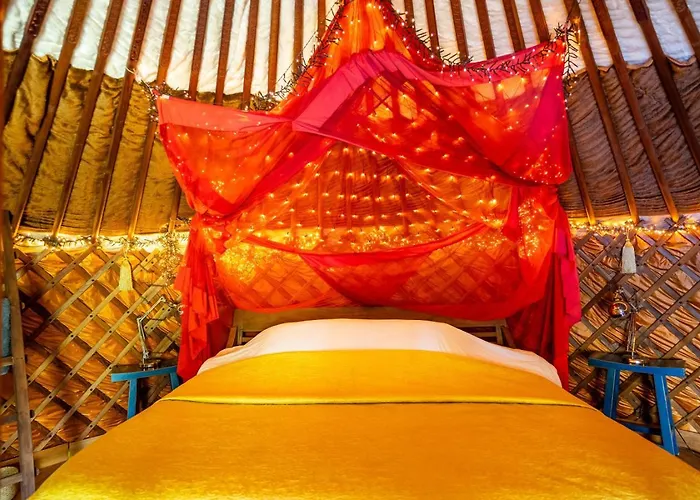 Reijgershof - Yurt Experience With Garden View Guest house Amsterdam