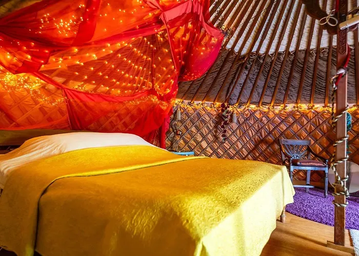 Reijgershof - Yurt Experience With Garden View * Amsterdam