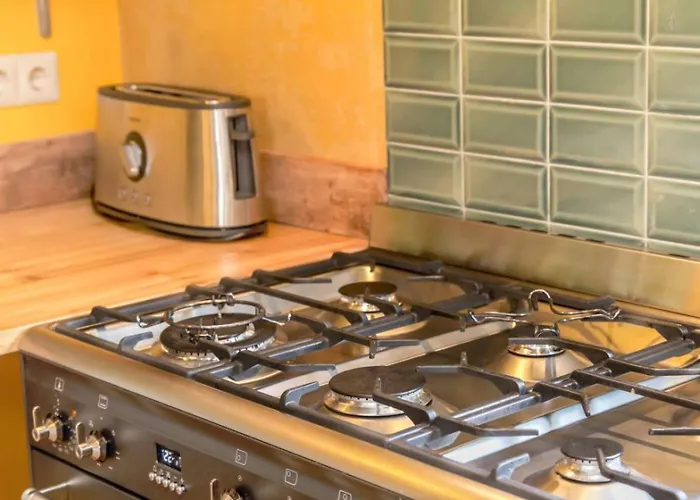 Guest house Reijgershof - Yurt Experience With Garden View