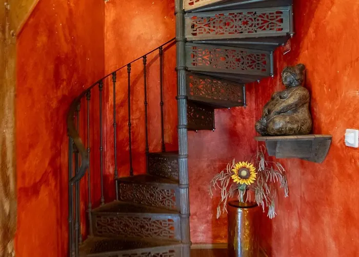 Reijgershof - Yurt Experience With Garden View Amsterdam