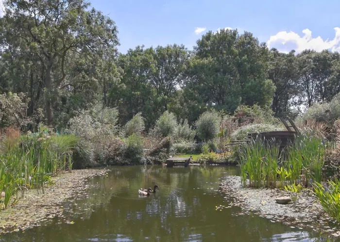 Reijgershof - Yurt Experience With Garden View *