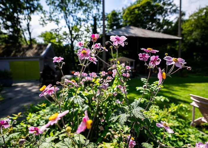 Reijgershof - Yurt Experience With Garden View